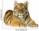 Tiger cub (5 months) Wall Decal