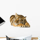 Tiger Cub 5 Months Wall Decal