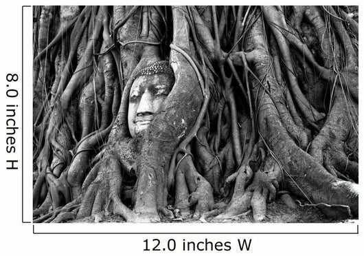 Buddha head, wat phra mahathat, Thailand 