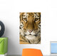 Tiger cub (5 months) Wall Mural