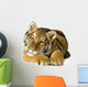 Tiger cub (5 months) Wall Decal