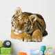 Tiger cub (5 months) Wall Decal