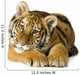 Tiger cub (5 months) Wall Decal