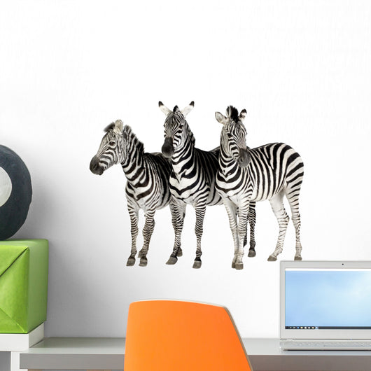 Zebra Wall Decal