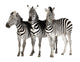 Zebra Wall Decal