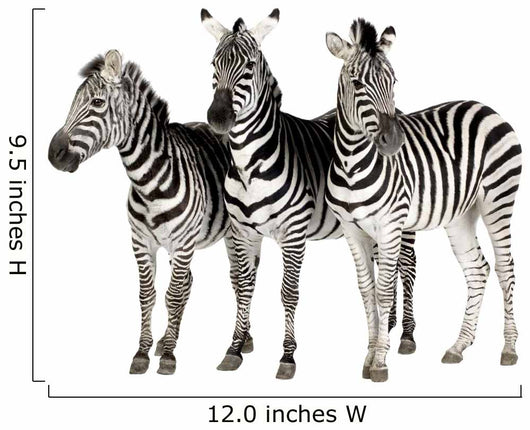 Zebra Wall Decal