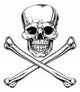 Jolly Roger Skull Wall Decal