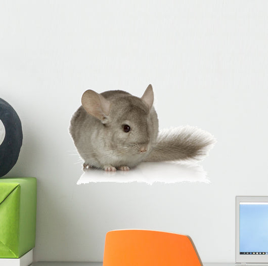 Chinchilla Wall Decal