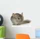 Chinchilla Wall Decal