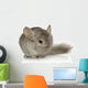 Chinchilla Wall Decal