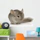 Chinchilla Wall Decal