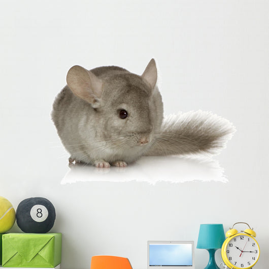 Chinchilla Wall Decal