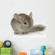 Chinchilla Wall Decal