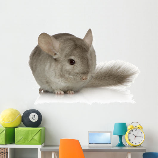 Chinchilla Wall Decal