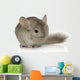 Chinchilla Wall Decal