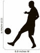 Soccer player detailed vector silhouette. Sports design 