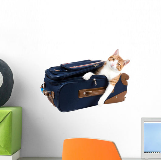 Perky cat sitting in a suitcase Wall Decal