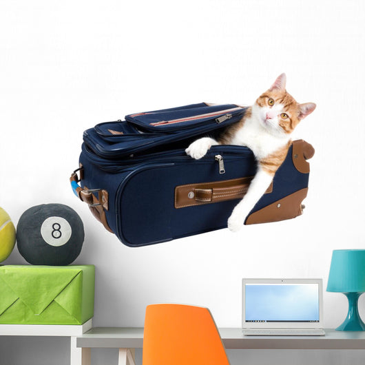 Perky cat sitting in a suitcase Wall Decal