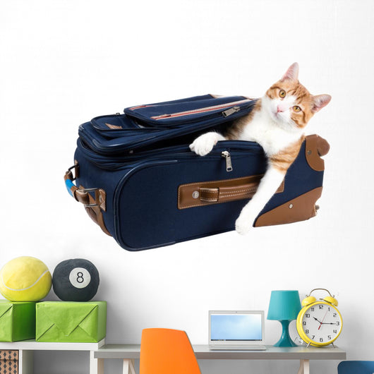 Perky cat sitting in a suitcase Wall Decal