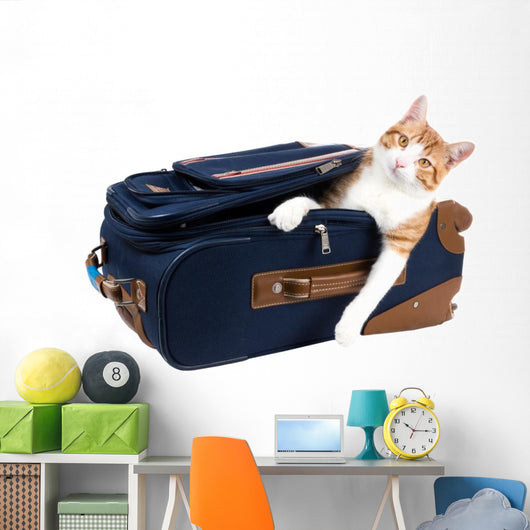 Perky cat sitting in a suitcase Wall Decal