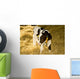 Cow Wall Mural