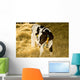 Cow Wall Mural