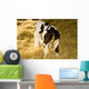 Cow Wall Mural