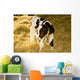 Cow Wall Mural