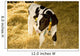 Cow Wall Mural