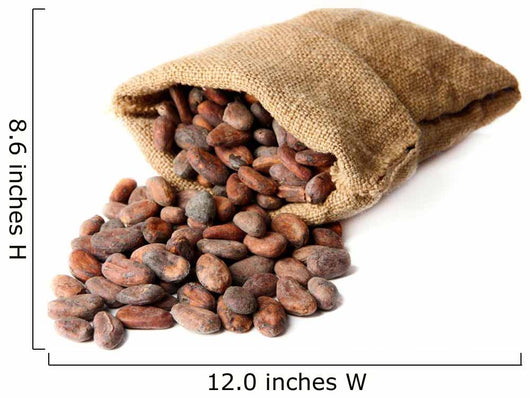Cocoa beans in bag isolated on white Wall Decal