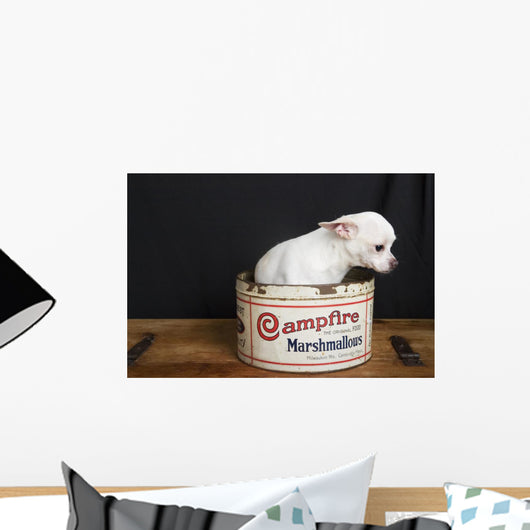 Lonely Chiwawa Wall Mural