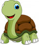 Cute Turtle Cartoon Wall Decal