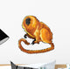 Golden Lion Tamarin Wall Decal