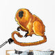 Golden Lion Tamarin Wall Decal