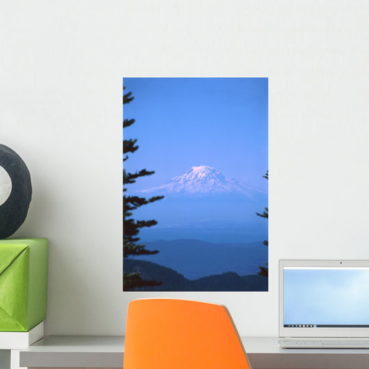 mt rainier Wall Mural