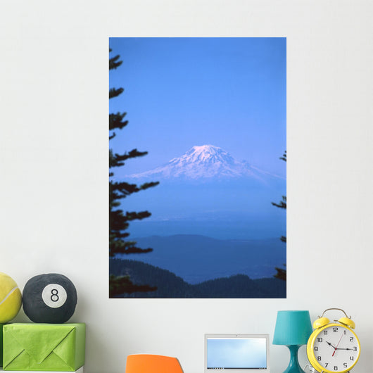 mt rainier Wall Mural