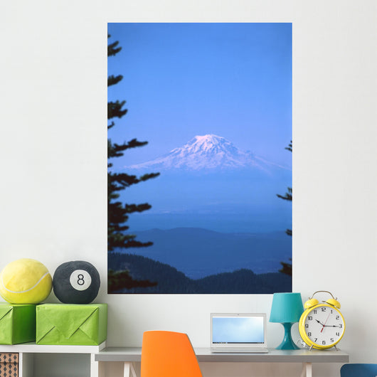 mt rainier Wall Mural