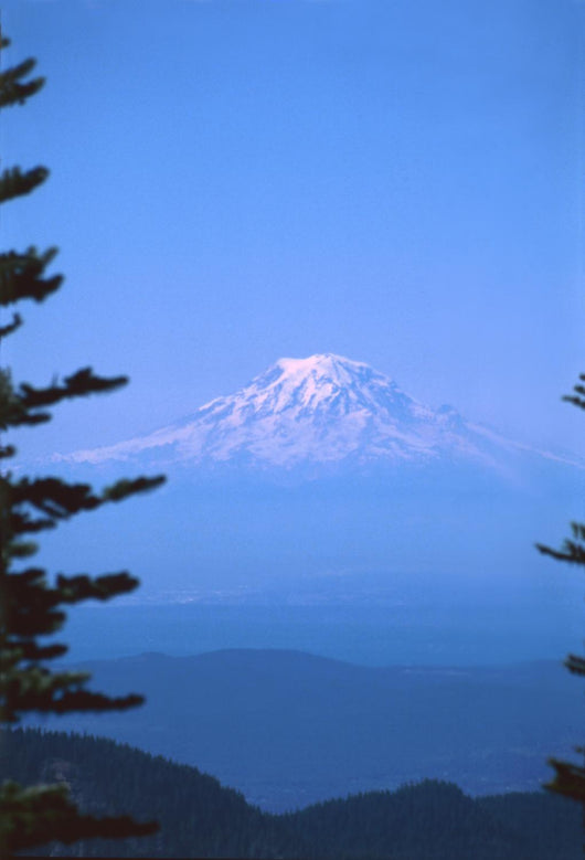 mt rainier Wall Mural
