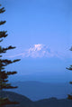 mt rainier Wall Mural
