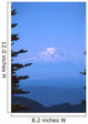 mt rainier Wall Mural