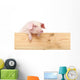 Pig with board 