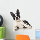 Boston Terrier Wall Decal