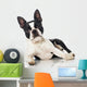 Boston Terrier Wall Decal