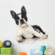 Boston Terrier Wall Decal