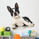 Boston Terrier Wall Decal