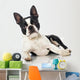 Boston Terrier Wall Decal
