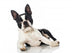 Boston Terrier Wall Decal
