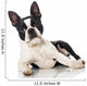 Boston Terrier Wall Decal