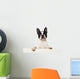 Boston Terrier Wall Decal