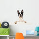 Boston Terrier Wall Decal